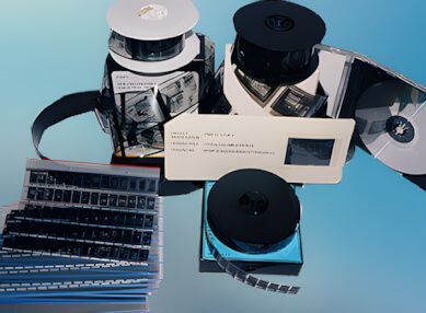 DOF Microfilm Website