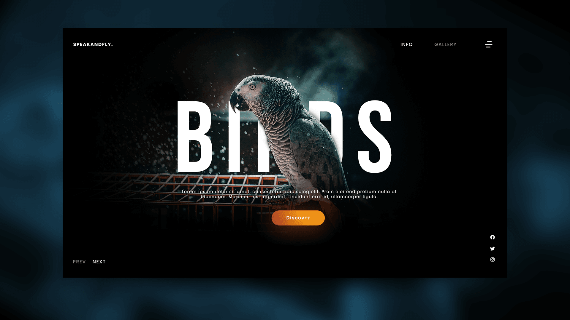 Birds Landing Page